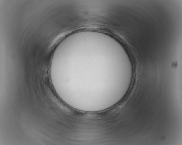 X0000112971451200908270931