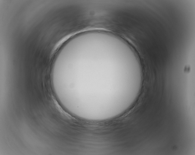 X0000112971452200908270931