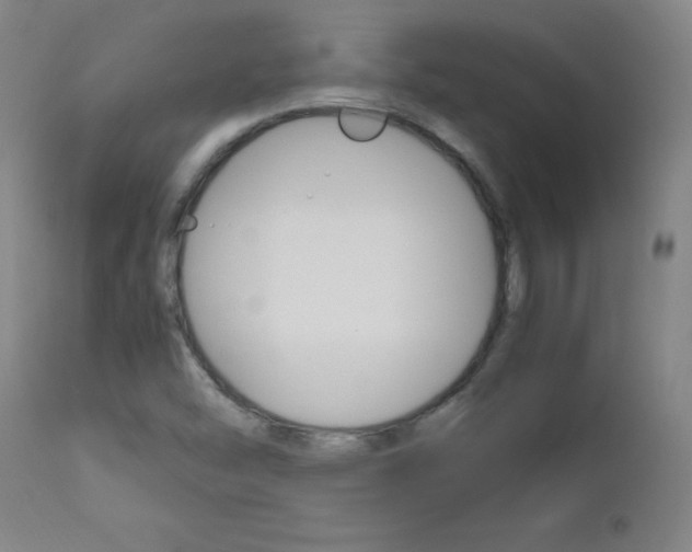 X0000112971454200908270931