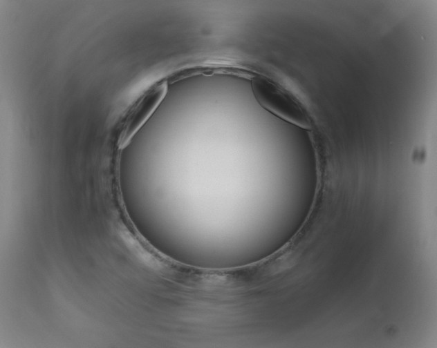 X0000112971456200908270931