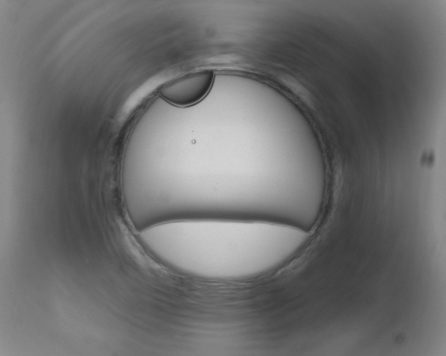 X0000112971458200908270931