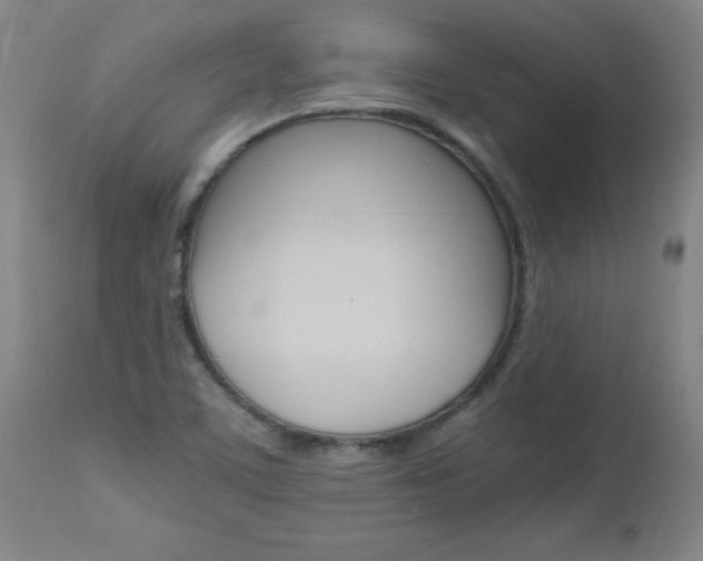 X0000112971459200908270931