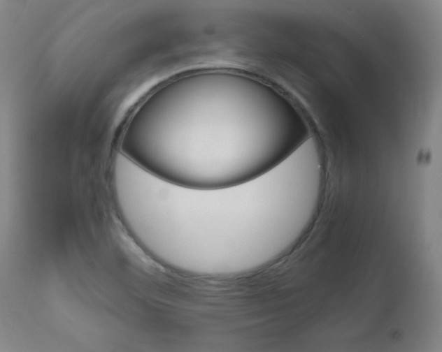 X0000112971460200908270931