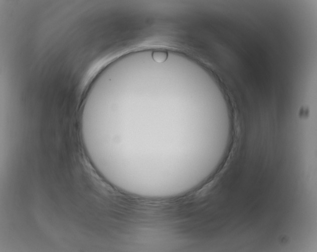 X0000112971461200908270931