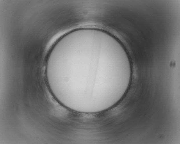 X0000112971462200908270931
