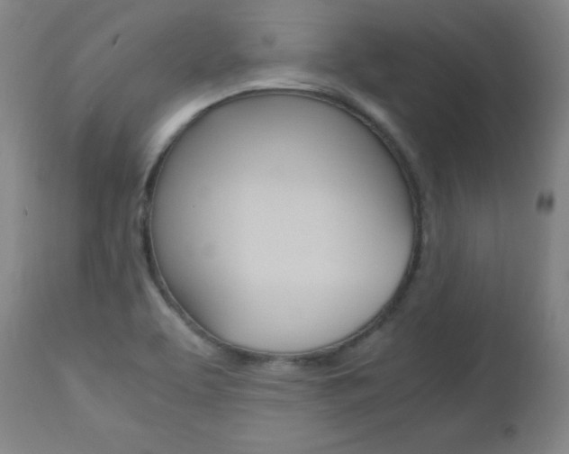 X0000112971463200908270931