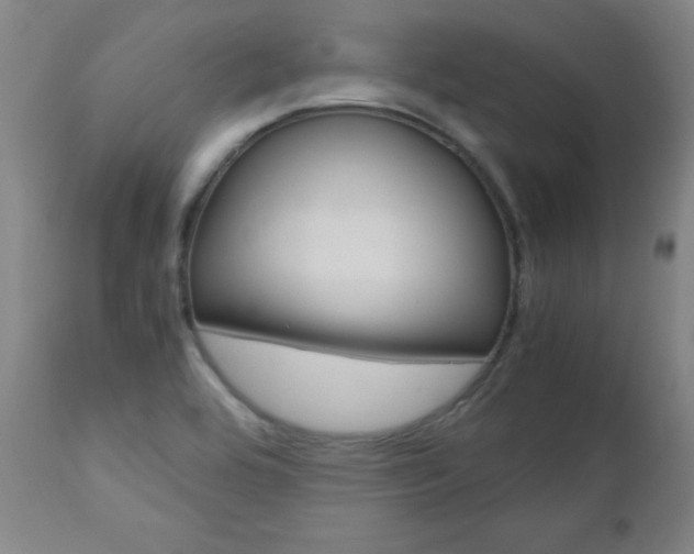 X0000112971464200908270931