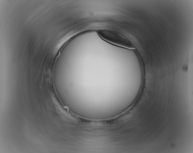 X0000112971465200908270931