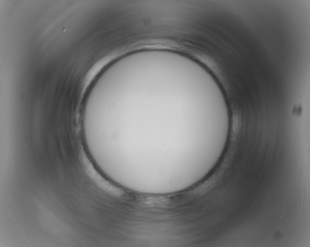 X0000112971466200908270931