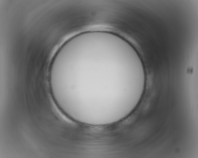 X0000112971470200908270931