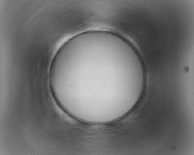 X0000112971471200908270931