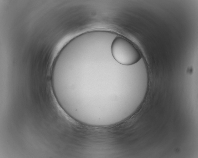 X0000112971472200908270931