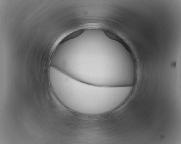 X0000112971473200908270931