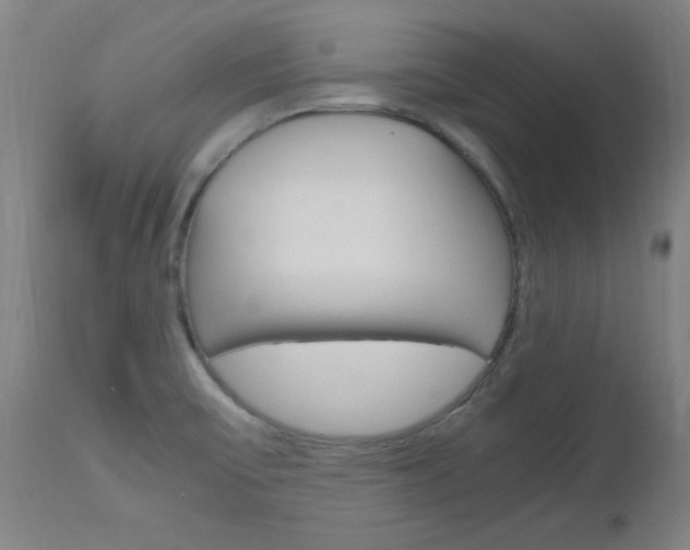 X0000112971475200908270931
