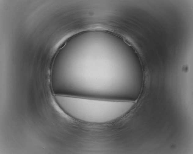 X0000112971476200908270931