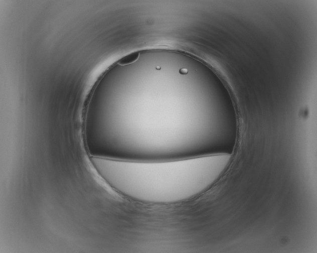 X0000112971480200908270931