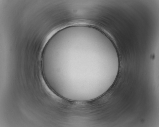X0000112971483200908270931