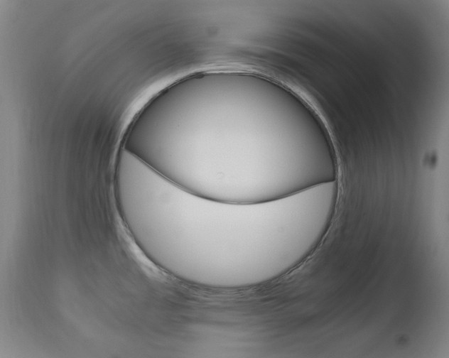 X0000112971485200908270931