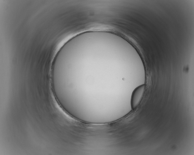 X0000112971487200908270931