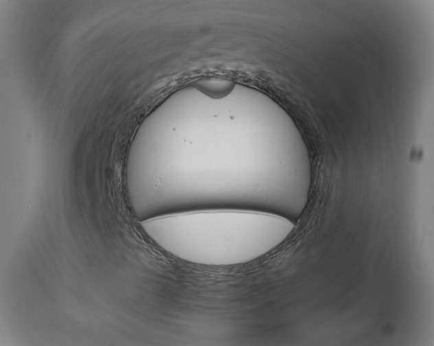 X0000112971489200908270930
