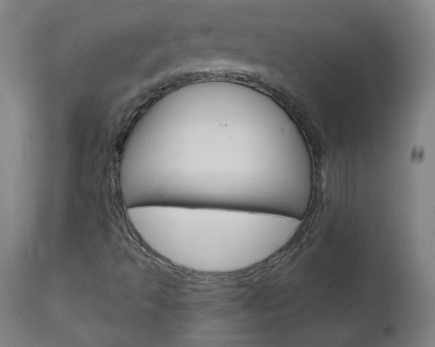 X0000112971493200908270930