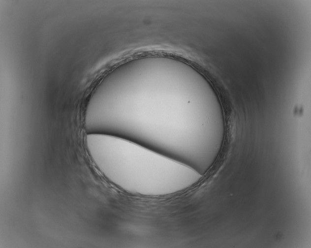 X0000112971494200908270930