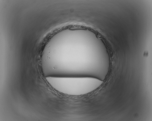 X0000112971495200908270930