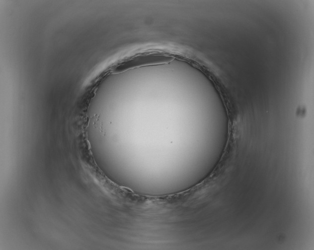 X0000112971496200908270930