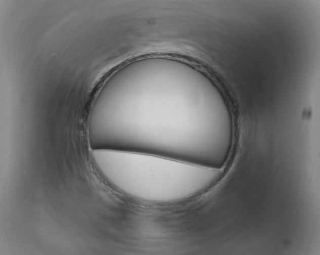 X0000112971497200908270930