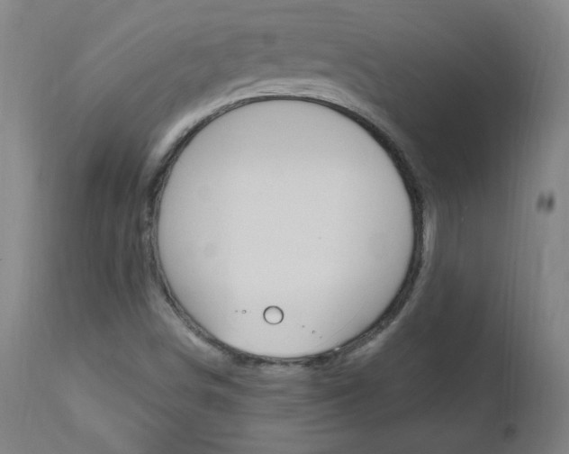 X0000112971498200908270930