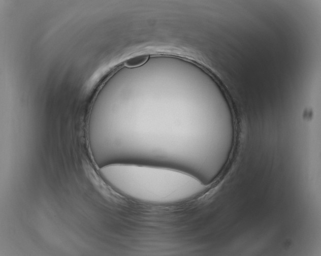 X0000112971499200908270930