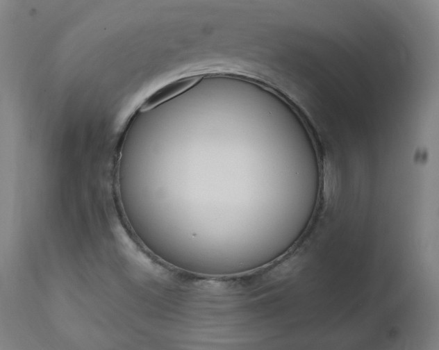 X0000112971500200908270930