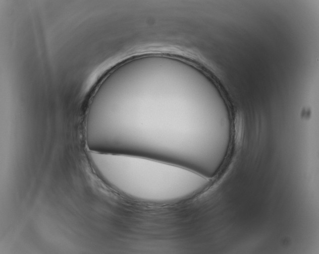 X0000112971501200908270930