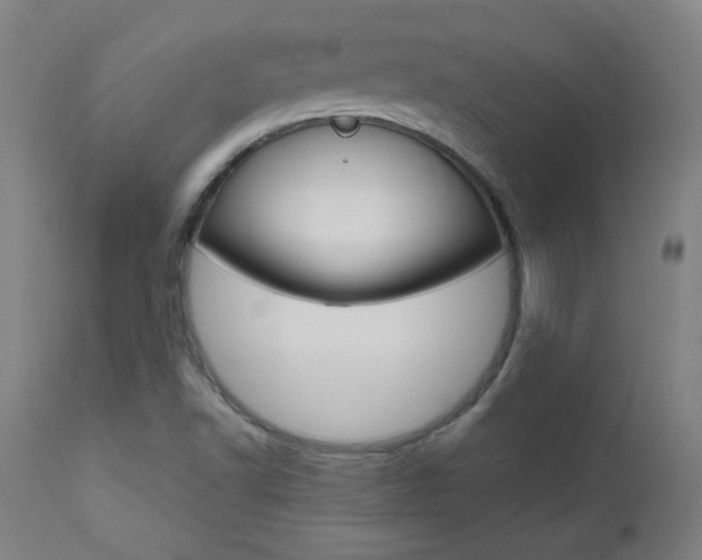 X0000112971502200908270930