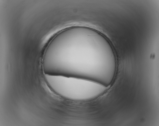 X0000112971503200908270930