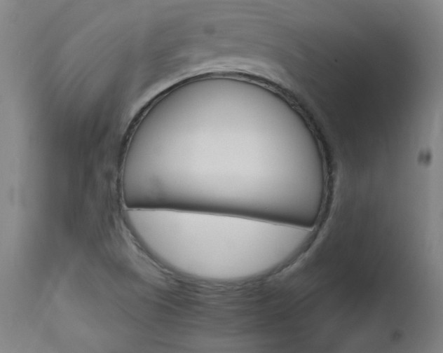 X0000112971505200908270930