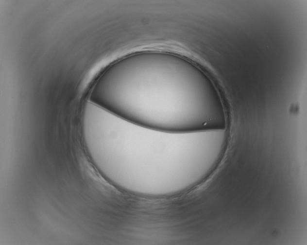 X0000112971506200908270930
