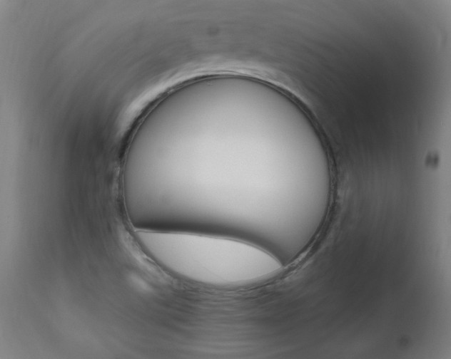 X0000112971507200908270930