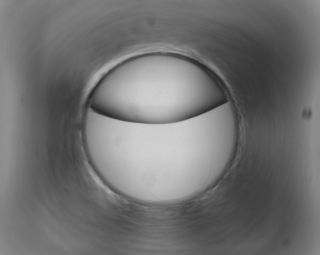 X0000112971508200908270931