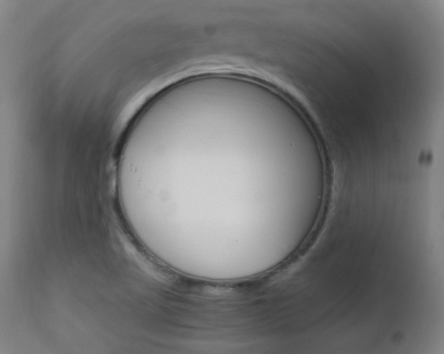 X0000112971509200908270931