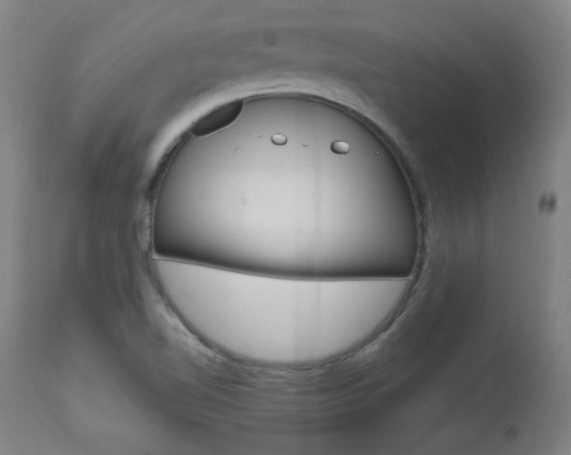 X0000112971510200908270931