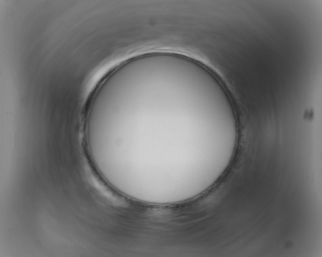 X0000112971511200908270931