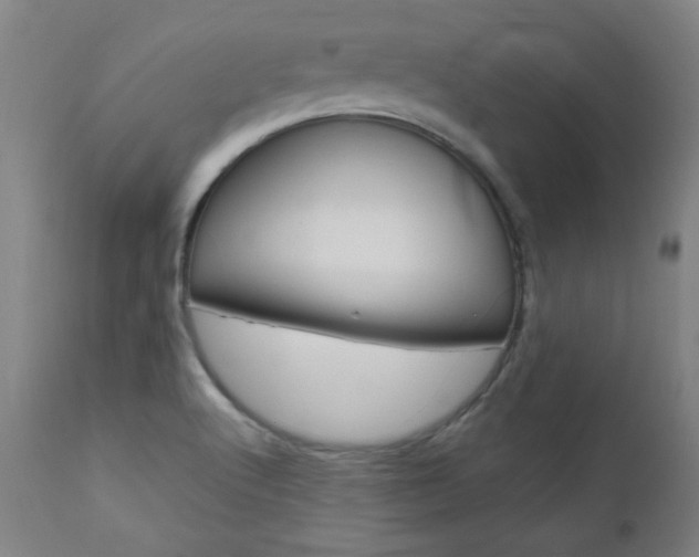 X0000112971512200908270931