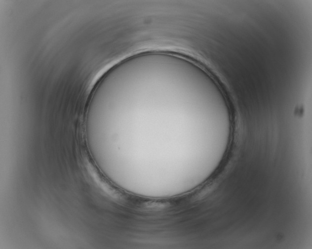 X0000112971513200908270931