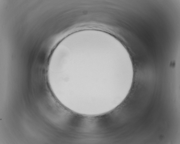 X0000112971514200908270931