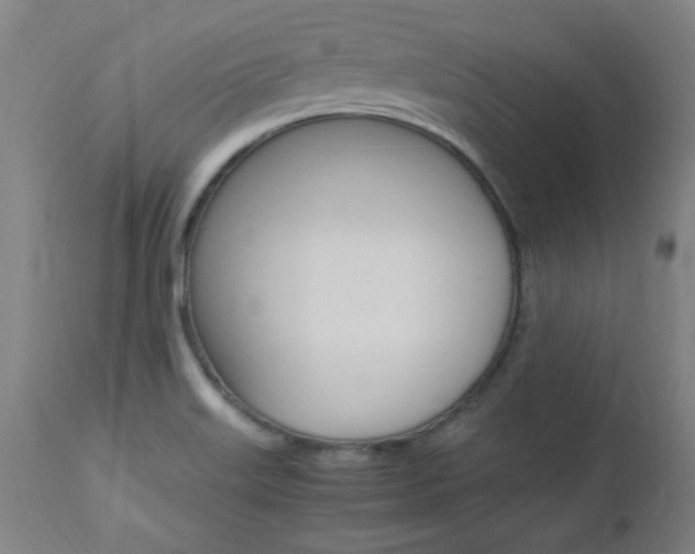 X0000112971515200908270931