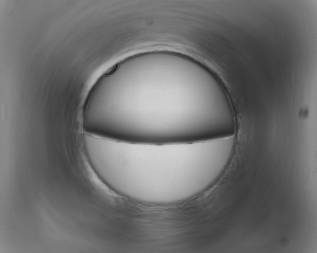 X0000112971516200908270931