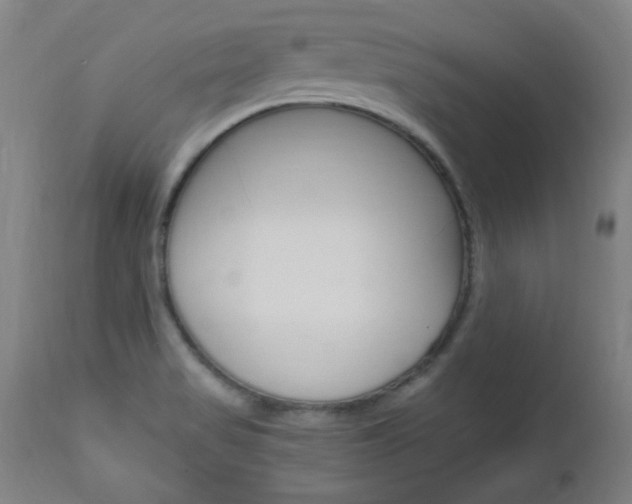 X0000112971517200908270931