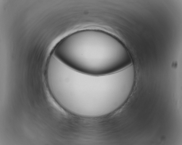 X0000112971518200908270931