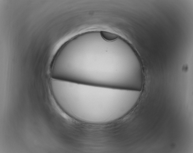 X0000112971519200908270931